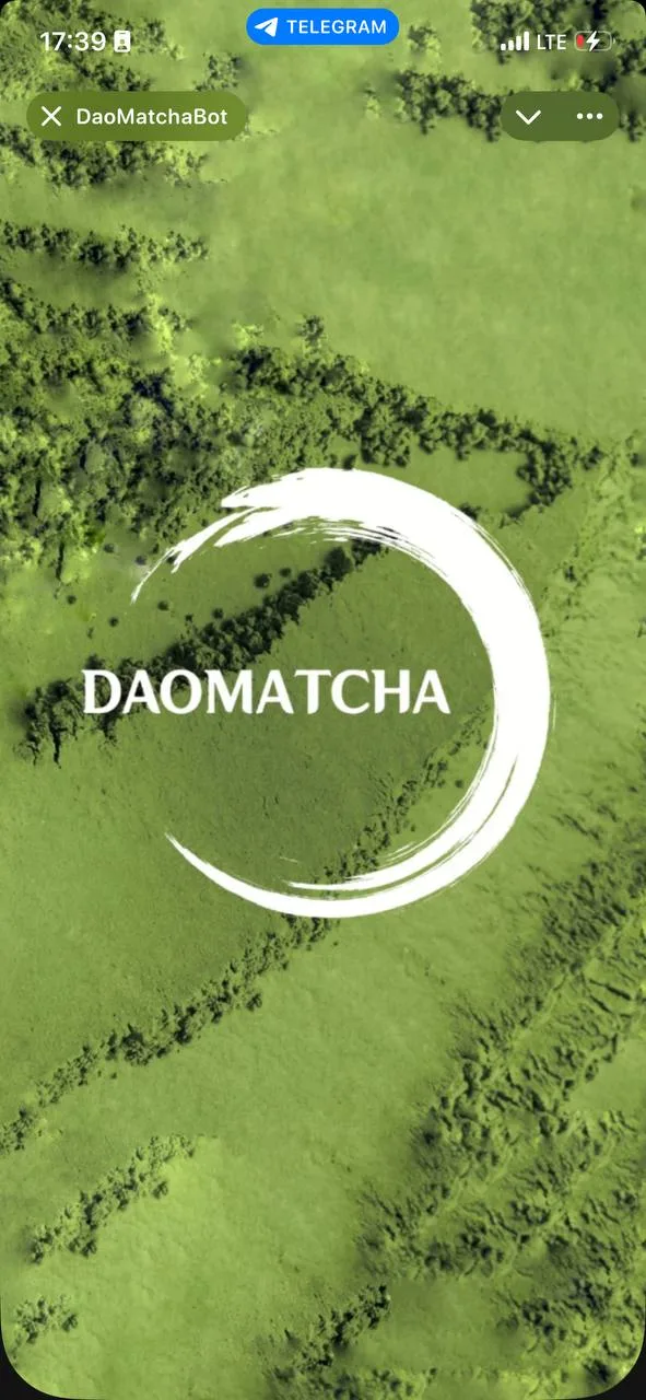 DAO MATCHA — Telegram Mini App магазина матчи
